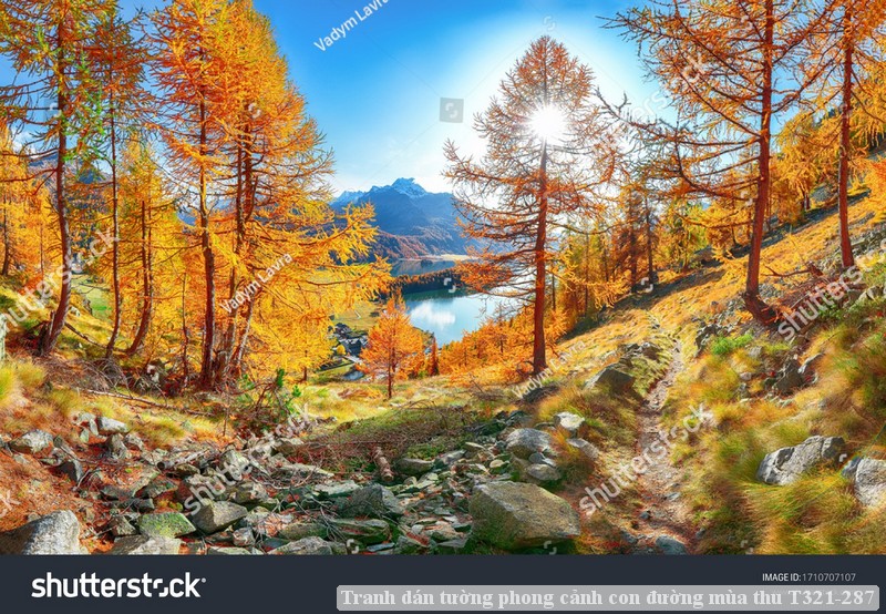 Tranh dán tường phong cảnh hồ thác, cây cối T321-546